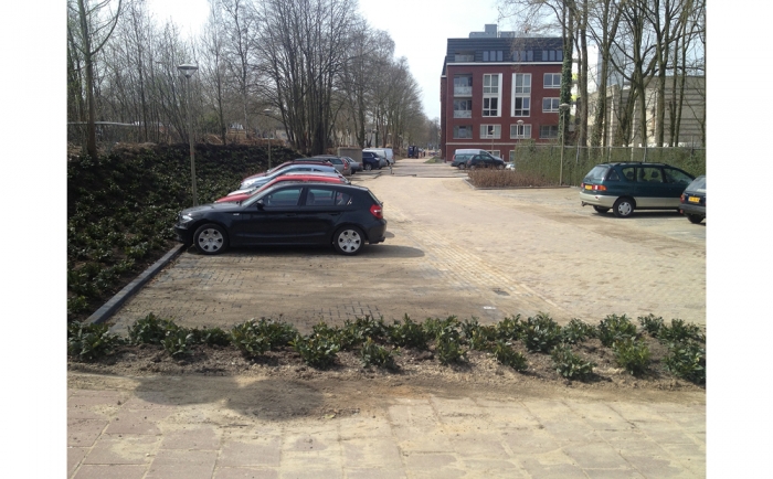 De auto's zijn over een aantal jaar afgeschermd door de beplanting