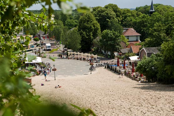 Aan de rand van de Schoorlse duinen, bij het hoogste duin van Nederland