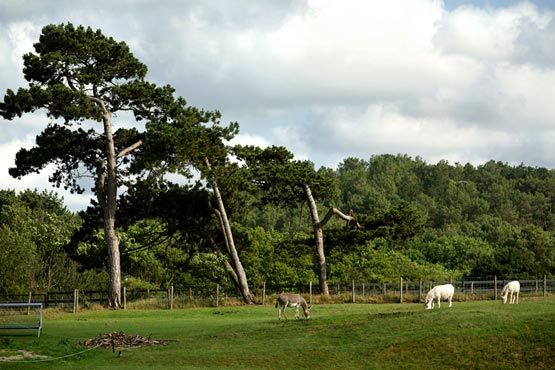 Een tweede huis in de natuur