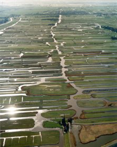 Posch_oostzaan1 image