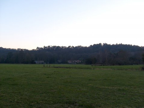 Weideduyn_schoorl2 image